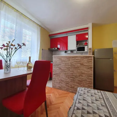 Apartment Ribarevic *